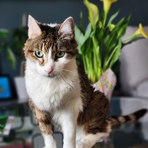 Meet your Posher, Ewa